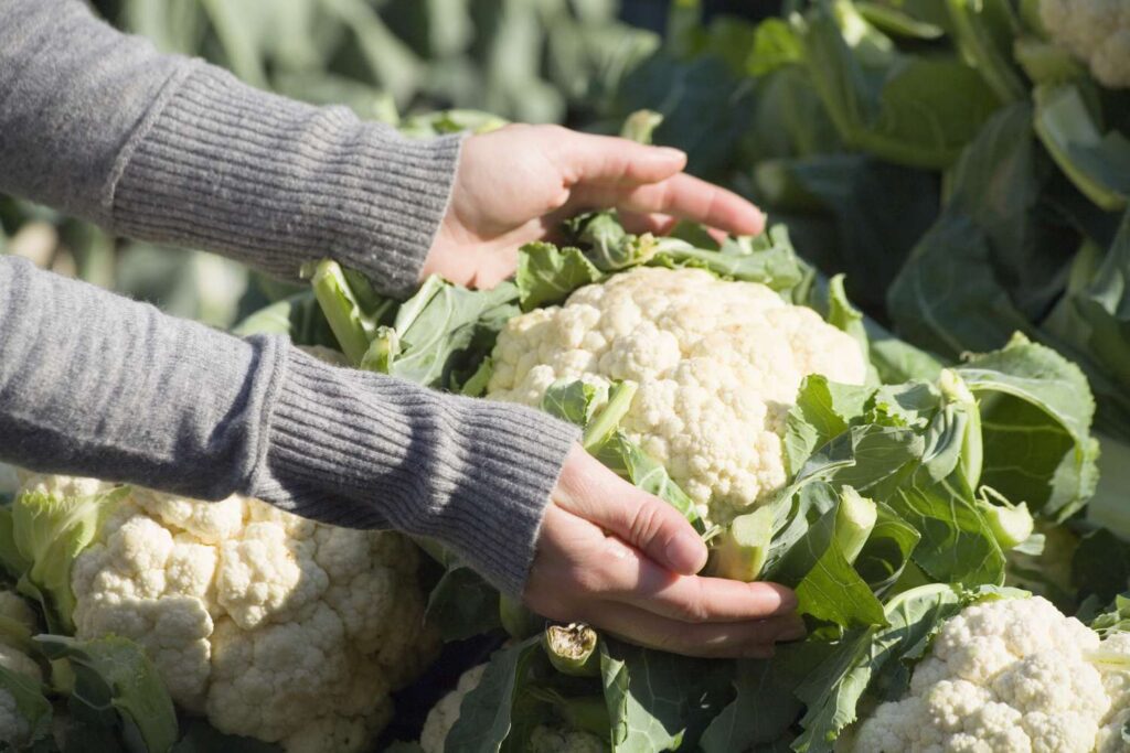11 satisfying high fiber, low carb foods for lasting fullness