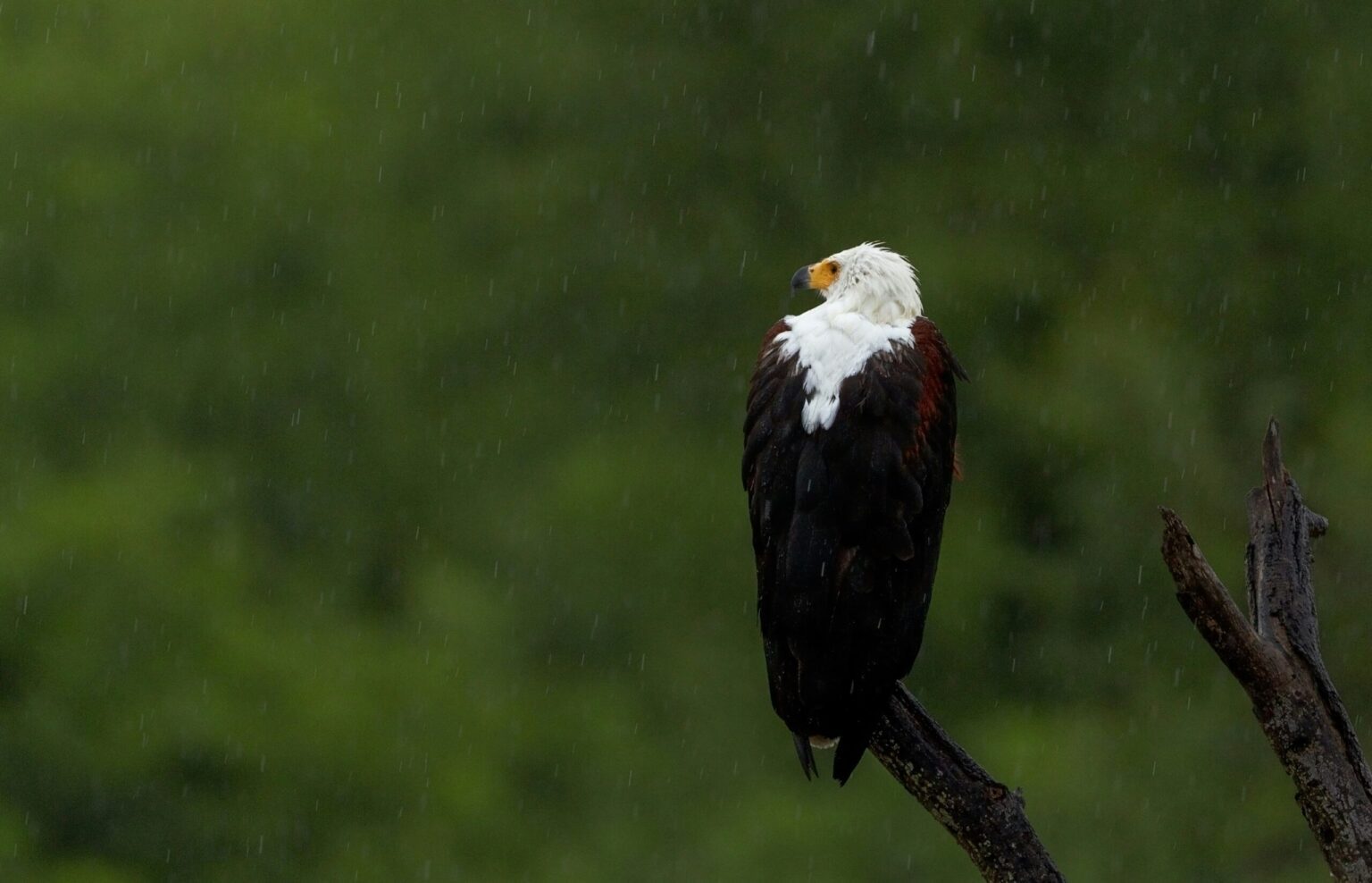 Hans veth zzwczdaesrw unsplash
