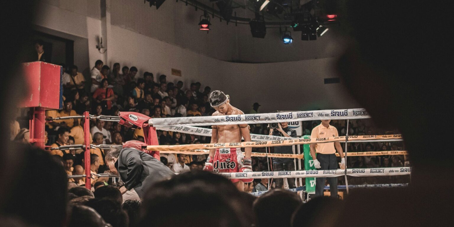 Header image (29)