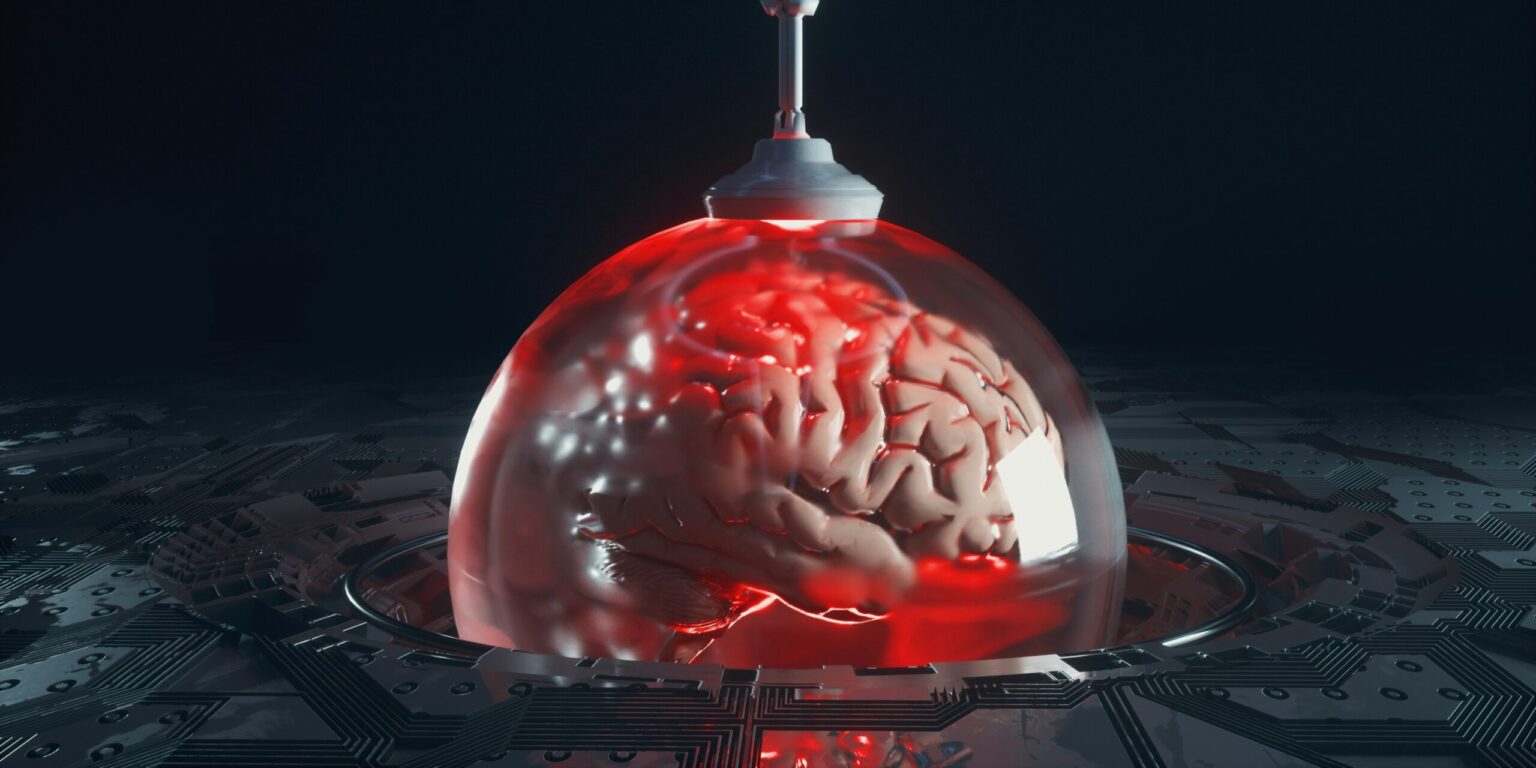 Researchers Reveal Brain-Cleaning Protein May Improve Memory in Mouse Models